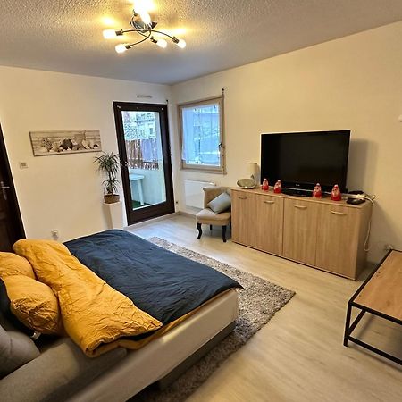 Apartament Superbe F2 Terrasse, Route Du Vin, Florival Guebwiller Zewnętrze zdjęcie